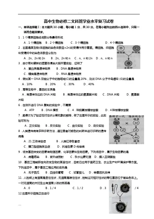 高中生物必修二文科班期末考试试卷。含答案