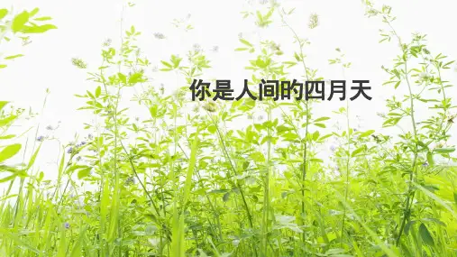 人教部编版九年级上册语文：第4课《你是人间的四月天》(共25张PPT)省公开课获奖课件说课比赛一等奖