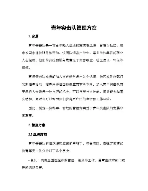 青年突击队管理方案