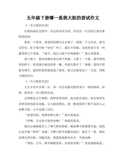 五年级下册哪一是我大胆的尝试作文