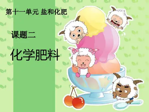 【人教版】九年级化学下册：第11单元 课题2《化学肥料》教学课件(共20张PPT)