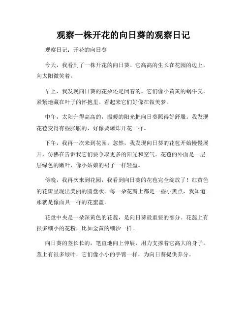 小学三年级作文观察一株开花的向日葵的观察日记