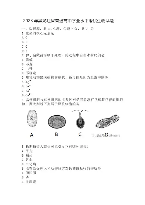 2023年黑龙江省普通高中学业水平考试生物试题