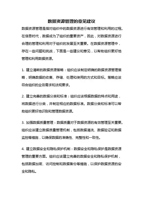 数据资源管理的意见建议