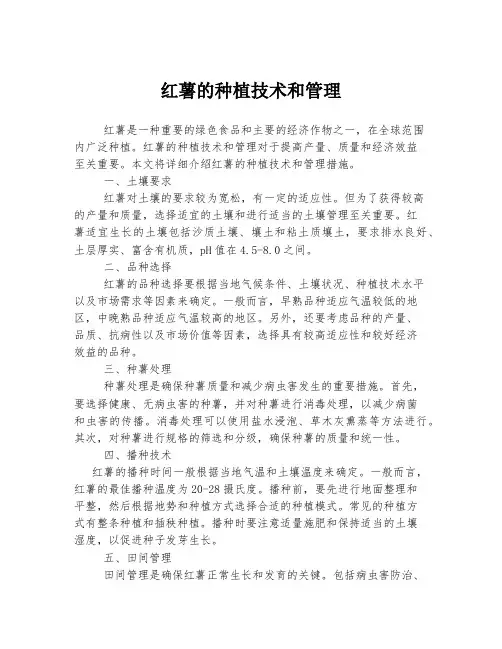 红薯的种植技术和管理
