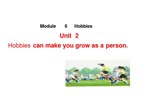 Module 6 Hobbies Unit 2  课件-2024-2025学年英语外研版八年级下册