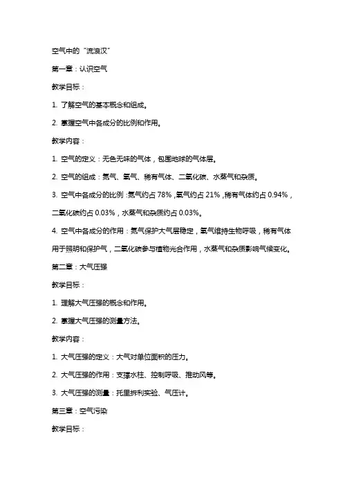 教案-空气中的“流浪汉”