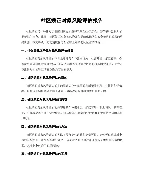 社区矫正对象风险评估报告