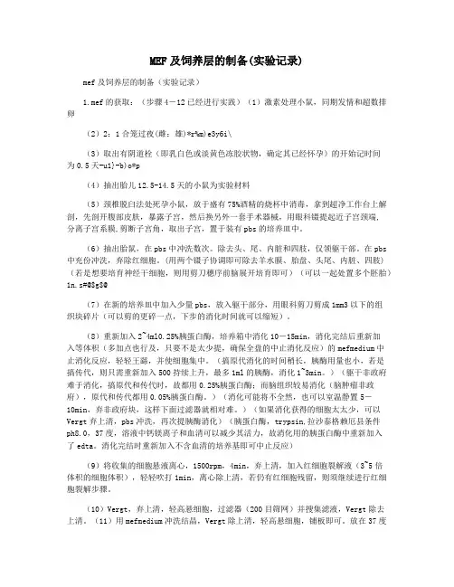 MEF及饲养层的制备(实验记录)