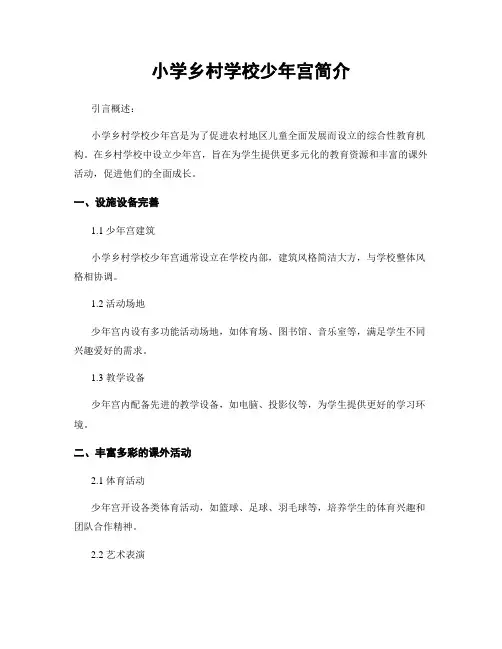 小学乡村学校少年宫简介