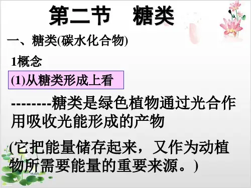 人教版_《糖类》_PPT