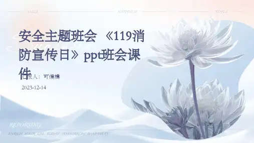 安全主题班会 《119消防宣传日》PPT班会课件