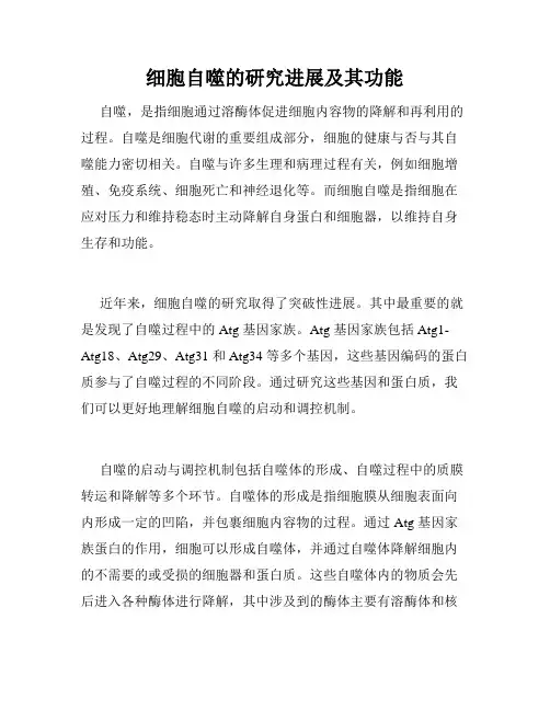 细胞自噬的研究进展及其功能