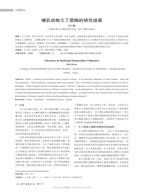 哺乳动物几丁质酶的研究进展