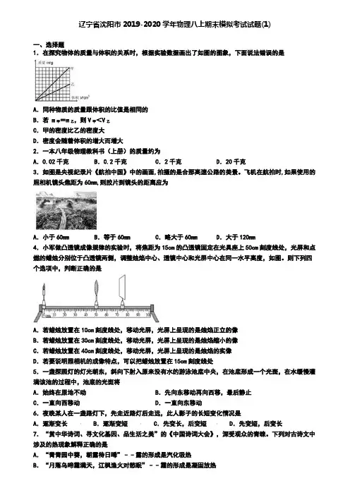 辽宁省沈阳市2019-2020学年物理八上期末模拟考试试题(1)