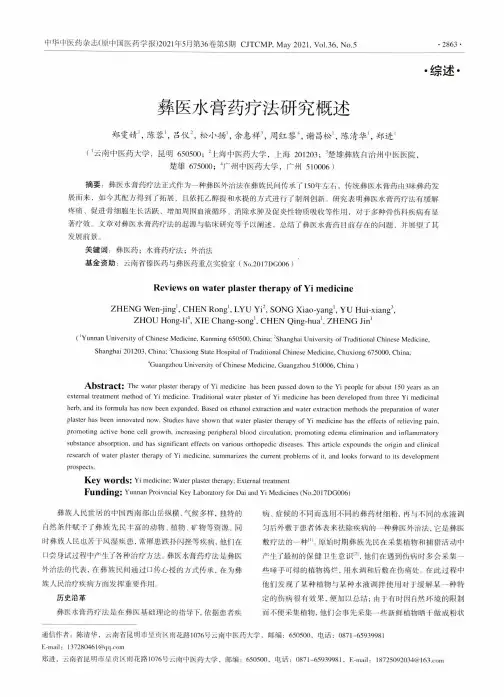彝医水膏药疗法研究概述