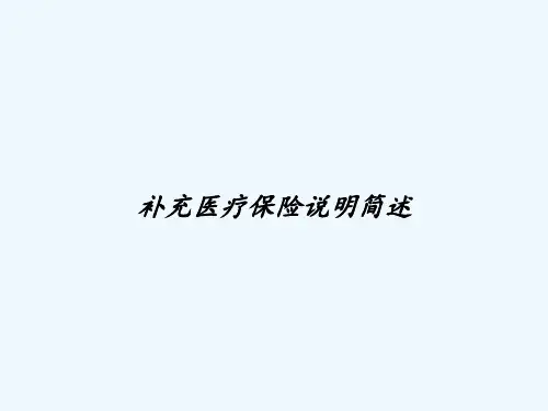 补充医疗保险说明简述 PPT