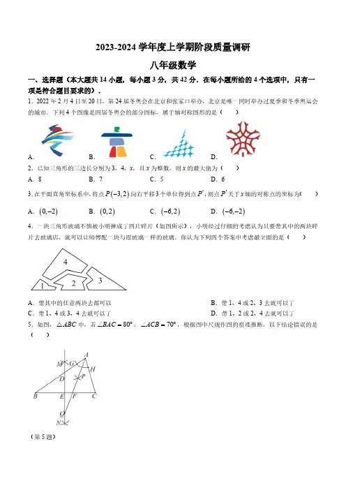 山东省临沂市兰陵县2023-2024学年八年级上学期期中数学试题(含解析)