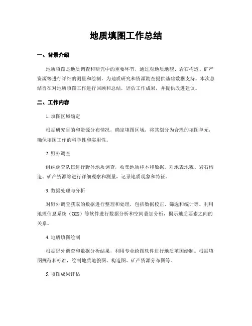 地质填图工作总结