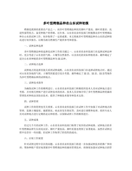 多叶型烤烟品种在山东试种初报