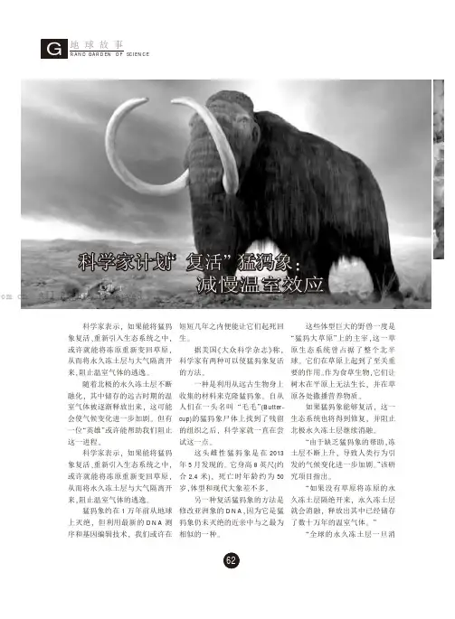 科学家计划“复活”猛犸象：减慢温室效应