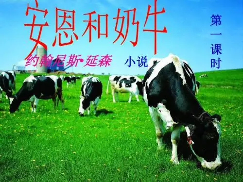 安恩和奶牛PPT课件