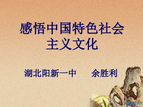 人教版高中政治必修三：10.3 感悟中国特色社会主义文化