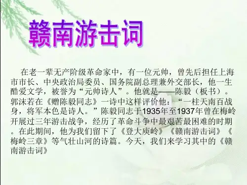 赣南游击词