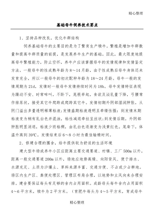 基础母牛饲养技术要点