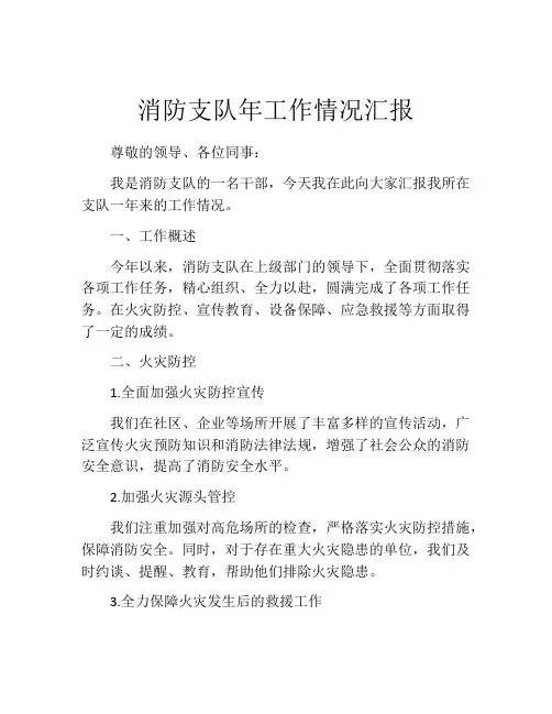 消防支队年工作情况汇报