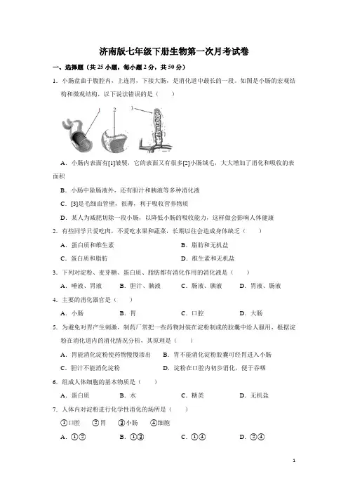 济南版七年级下册生物第一次月考试卷