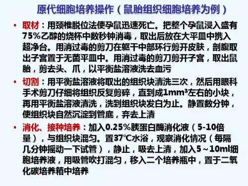 原代细胞培养操作(鼠胎组织细胞培养为