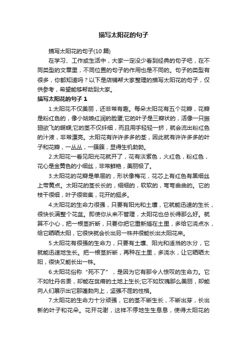 描写太阳花的句子