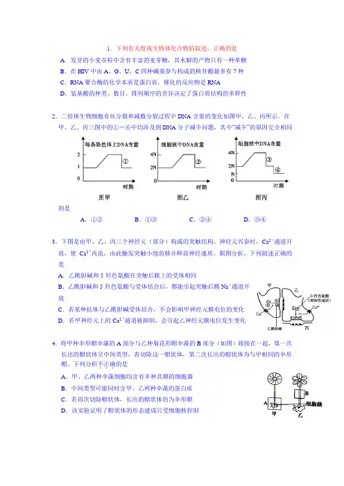 湖北宜昌市第一中学2015届高三下学期第二次模拟考试生物试卷 (Word版含答案)