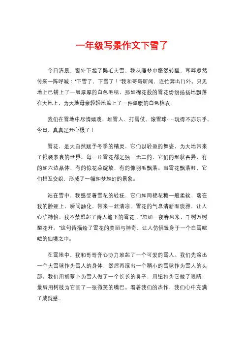 一年级写景作文下雪了