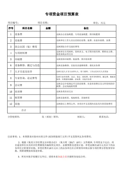 专项资金项目预算表
