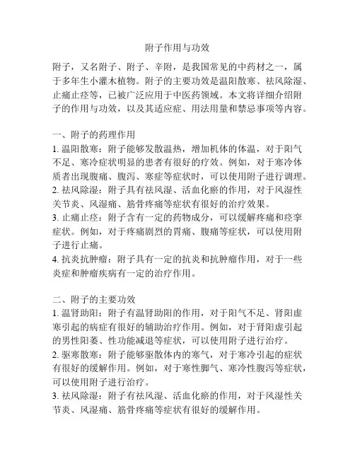 附子作用与功效