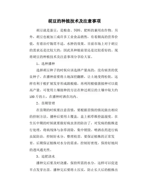 胡豆的种植技术及注意事项