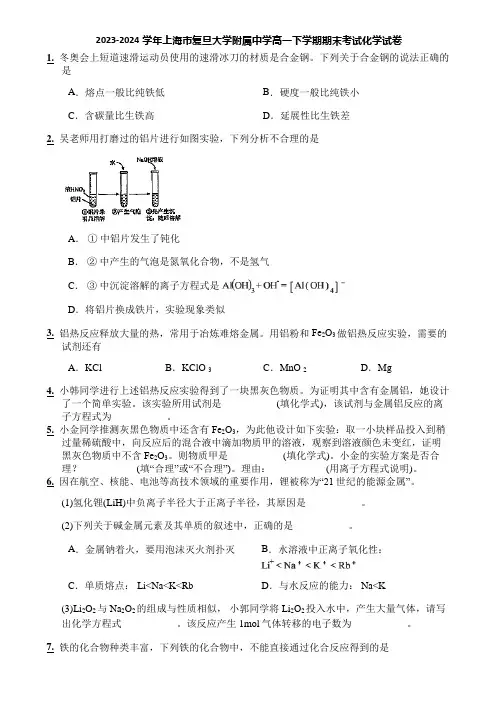 2023-2024学年上海市复旦大学附属中学高一下学期期末考试化学试卷