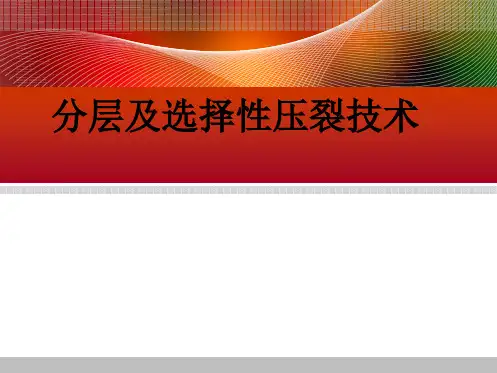 分层及选择性压裂技术