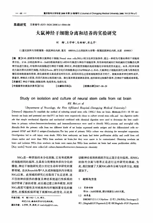 大鼠神经干细胞分离和培养的实验研究