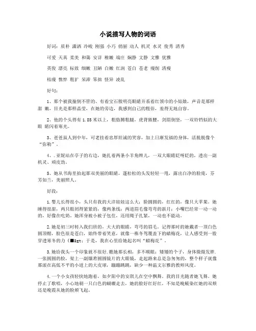 小说描写人物的词语