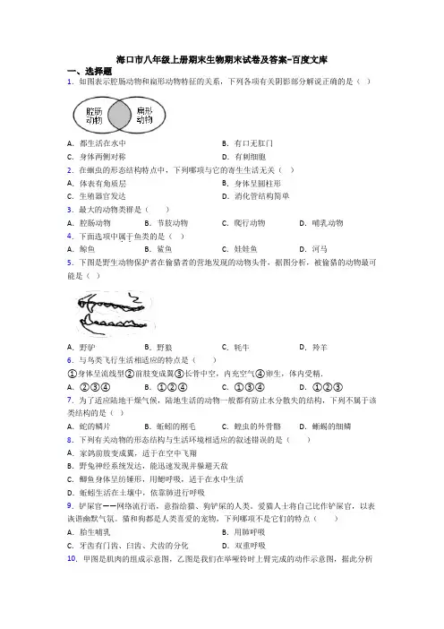 海口市八年级上册期末生物期末试卷及答案-百度文库