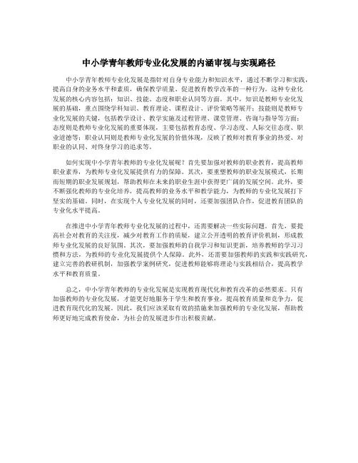 中小学青年教师专业化发展的内涵审视与实现路径