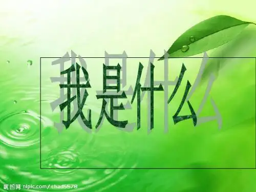 人教版小学语文二年级上册我是什么-课件ppt