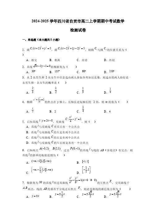 2024-2025学年四川省自贡市高二上学期期中考试数学检测试卷(含解析)