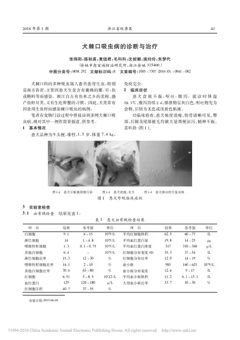 犬棘口吸虫病的诊断与治疗_张炜阳
