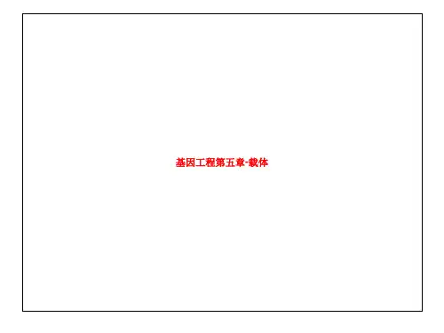基因工程第五章-载体