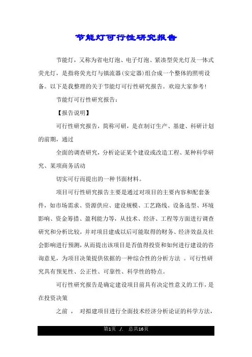 节能灯可行性研究报告.doc