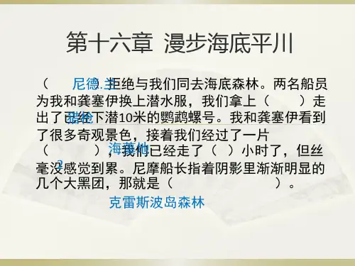 16~20章海底两万里梗概(2020年整理).ppt